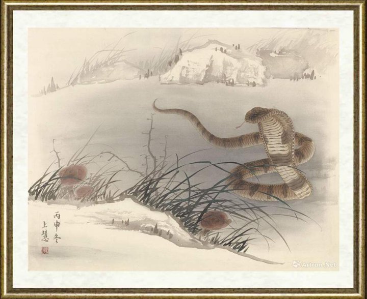 赵上慧_蛇2