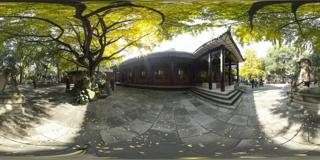 04千年银杏3_武侯祠