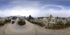 旅游景区_四川成都_蒲江樱桃山_路口-0008