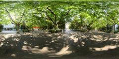 03_南京大学