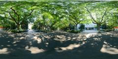 04_南京大学