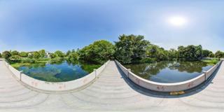 西溪公园_借竹桥