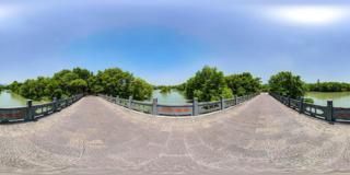 西溪公园_龙蛇嘴桥